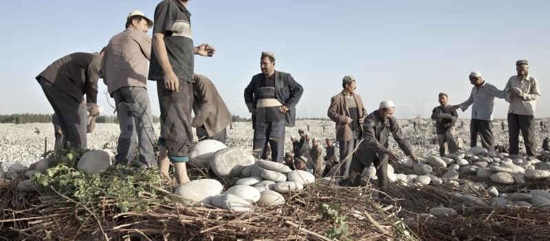 Authorities ‘ensure Stability’ Through Forced Labor For Uyghurs In 